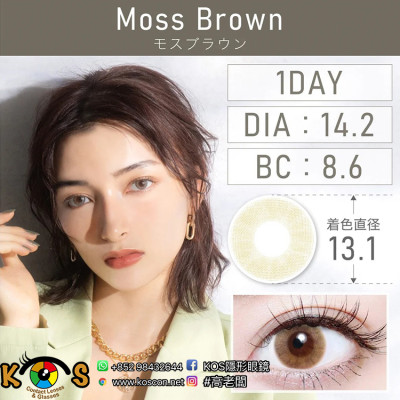 TeAmo 1Day Moss Brown ティアモ ワンデー モスブラウン TeAmo 1Day Moss Brown ティアモ ワンデー モスブラウン